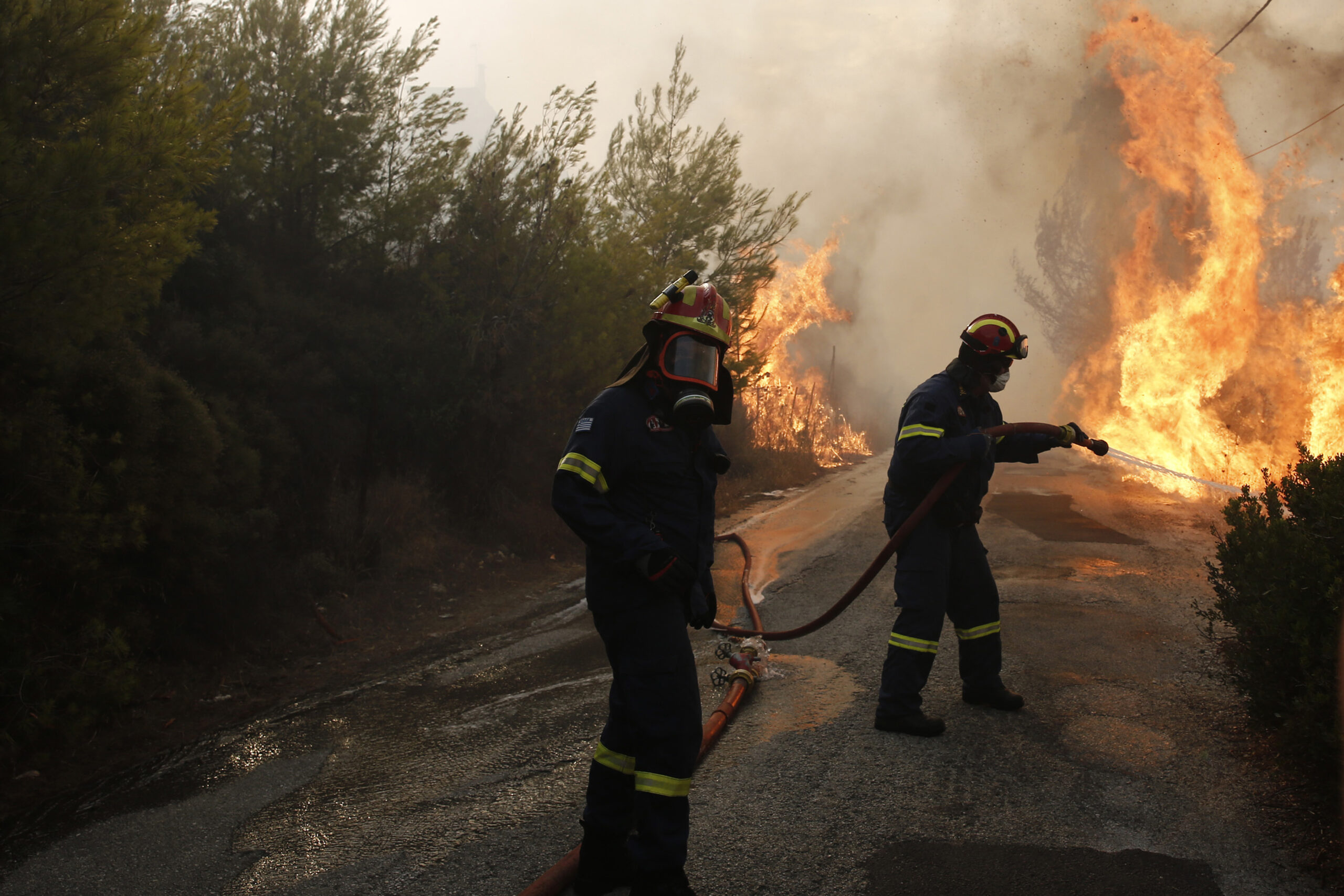 Συστάσεις της ΓΕΝΟΠ προς τους καταναλωτές για τις πυρκαγιές