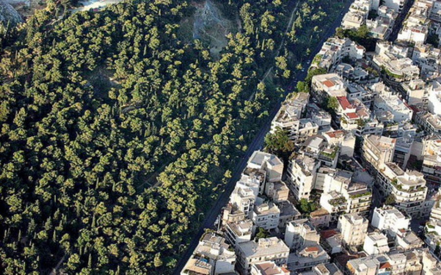 Ένας μήνας έμεινε για την ανάρτηση των δασικών χαρτών – 15 δήμοι δεν είναι έτοιμοι