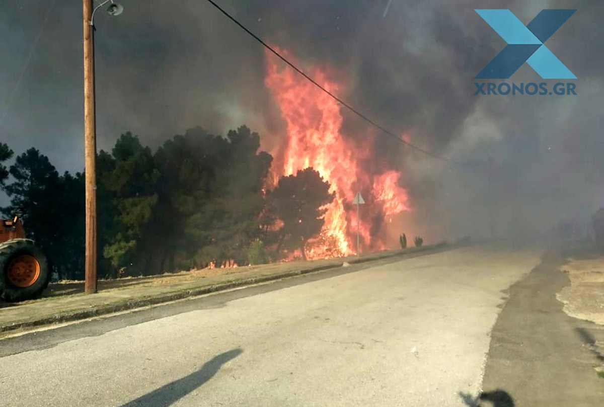 Ροδόπη: Χωρίς ενεργό μέτωπο η πυρκαγιά στις Σάπες – Παραμένει σε εγρήγορση η πυροσβεστική