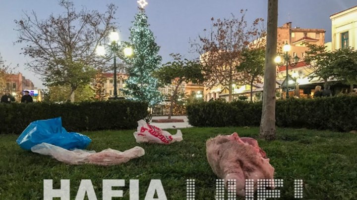 Πέταξαν γουρουνοκεφαλή έξω από το δημαρχείο Πύργου!