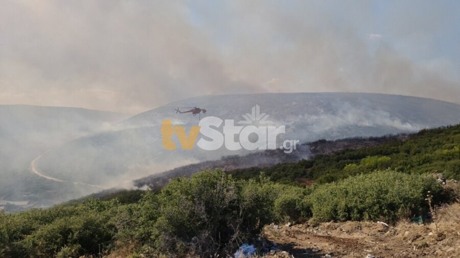Λαμία: Ολονύκτια μάχη με τις φλόγες στο Πετρωτό Δομοκού – Εχθρός των πυροσβεστών οι ισχυροί άνεμοι