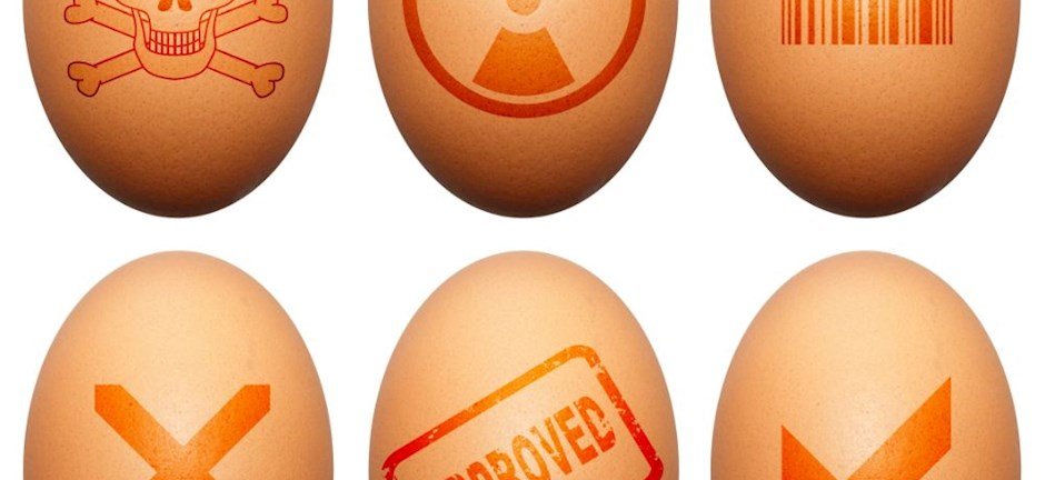 Ξέσπασμα σαλμονέλας από μολυσμένα αυγά στην Ευρώπη – Τι γίνεται στην Ελλάδα