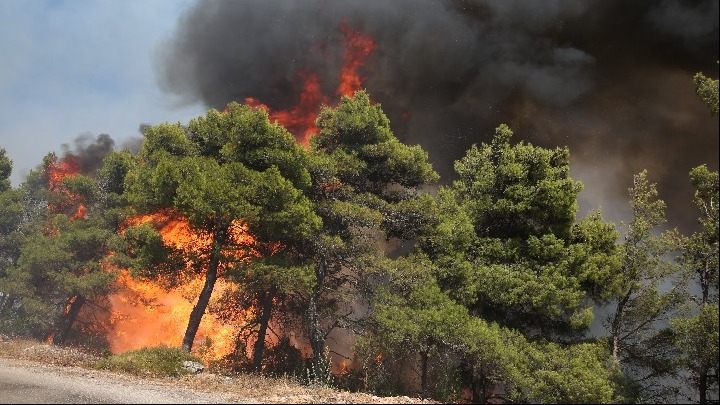 Πορτοκαλί συναγερμός: Πολύ υψηλός κίνδυνος πυρκαγιάς σήμερα για τις περιφέρειες Αττικής και Στερεάς Ελλάδας