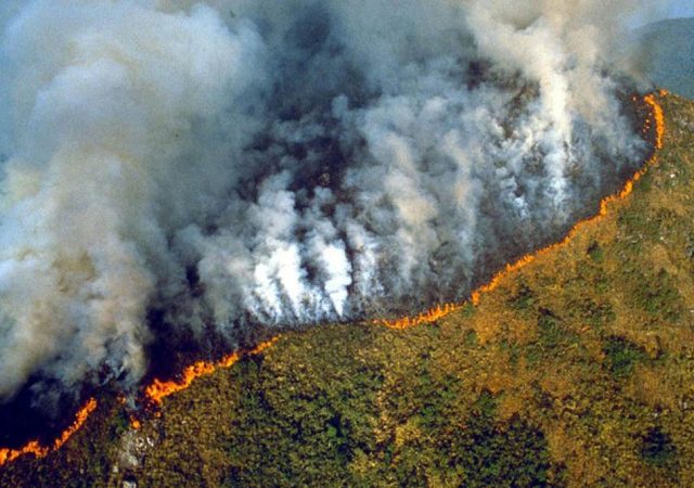 Βραζιλία: Ρεκόρ 15ετίας για τις πυρκαγιές στον Αμαζόνιο