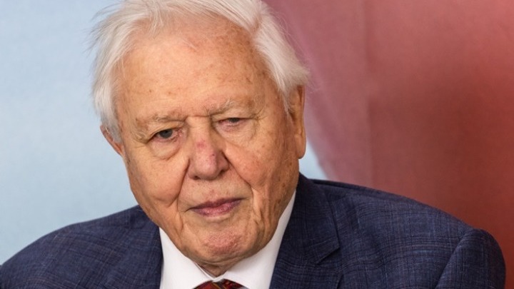 Ο Σερ Ντέιβιντ Ατένμπορο μας ξεναγεί στην άγρια φύση της Βρετανίας (Βίντεο)