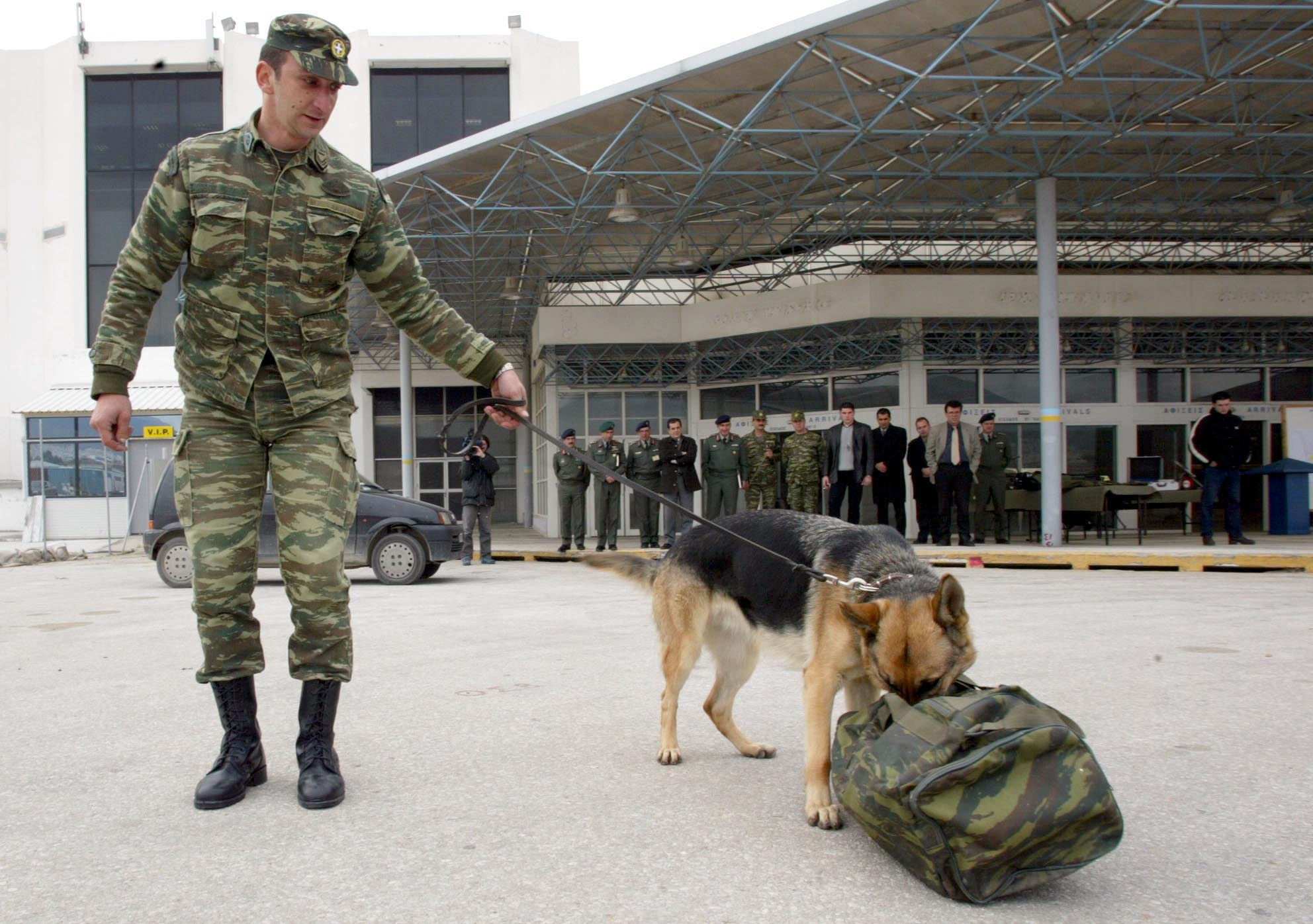 Καλούνται για «κατάταξη» στις Ένοπλες Δυνάμεις 193 στρατιωτικοί σκύλοι