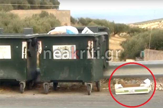 Κτηνωδία! Πολτοποίησαν κουταβάκια και τα πέταξαν στα σκουπίδια – Σκληρές εικόνες
