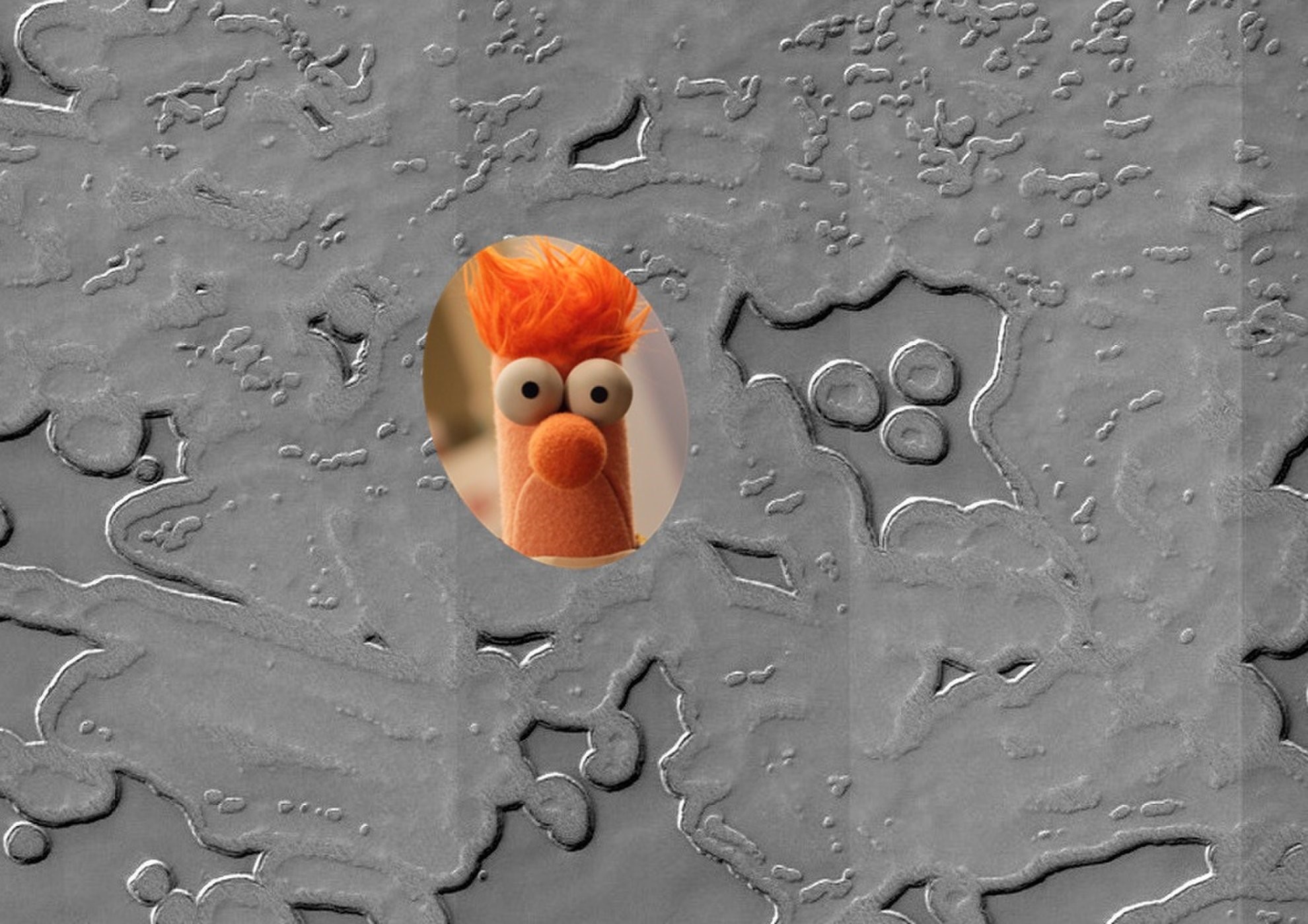Ήρωας του Muppet εντοπίστηκε… στον Άρη!