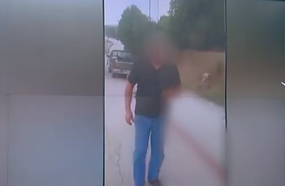 Κακοποίηση γάιδαρου στα Ιωάννινα: «Λύκος είχε τραυματίσει το ζώο» ισχυρίζεται ο δικηγόρος του αντιδημάρχου