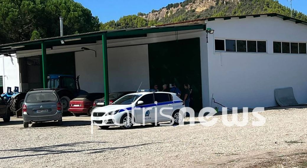 Θρίλερ στην Ηλεία: Νεκρός 68χρονος με χτυπήματα στο κεφάλι – Ενδείξεις για εγκληματική ενέργεια (Βίντεο)