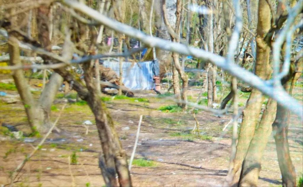 Τεράστια οικολογική καταστροφή στον Έβρο – Απίστευτες εικόνες στην τουρκική πλευρά (φωτογραφίες-βίντεο)