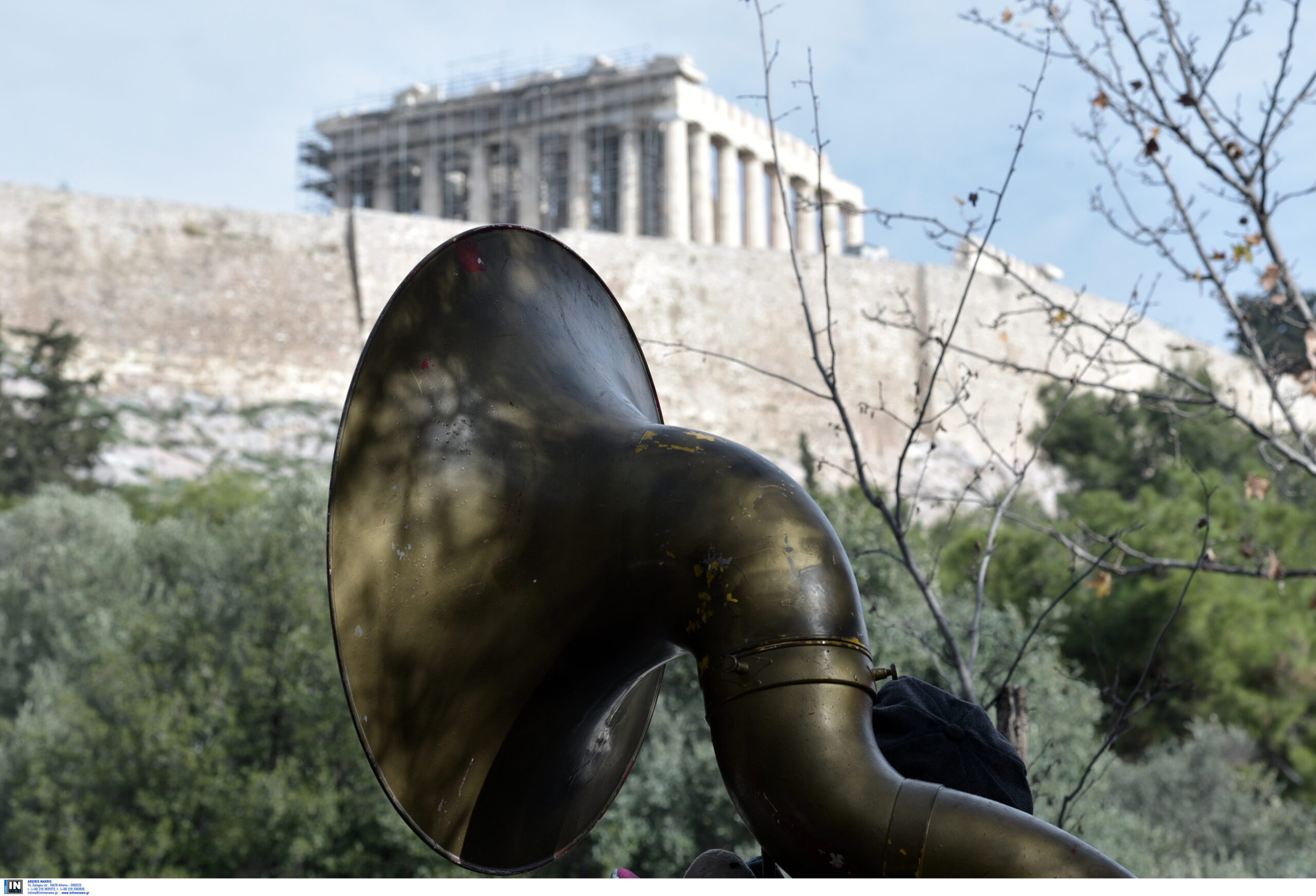 Η Ακρόπολη και οι γύρω της λόφοι στην Αθήνα φιλοξενούν πάνω από 220 είδη φυτών