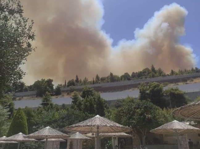 Εκτός ελέγχου η φωτιά στην Αχαΐα – Εκκενώνεται και ο Λόγγος – Ενεργοποιήθηκε το 112