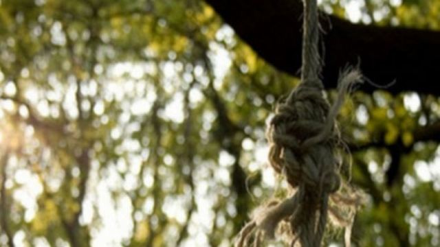 Τραγωδία στη Φθιώτιδα: Κρεμάστηκε 30χρονος από δέντρο
