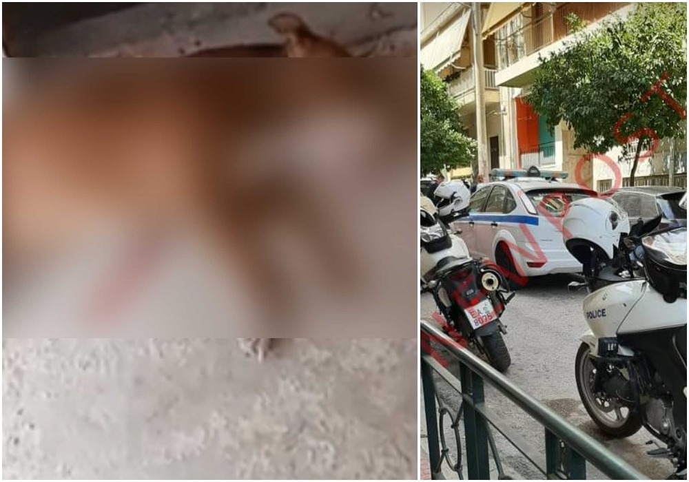 Γαλάτσι: «Εν ψυχρώ δολοφονία», λέει η ιδιοκτήτρια του πιτμπουλ – ΕΛ.ΑΣ.: «Σε άμυνα ο αστυνομικός»
