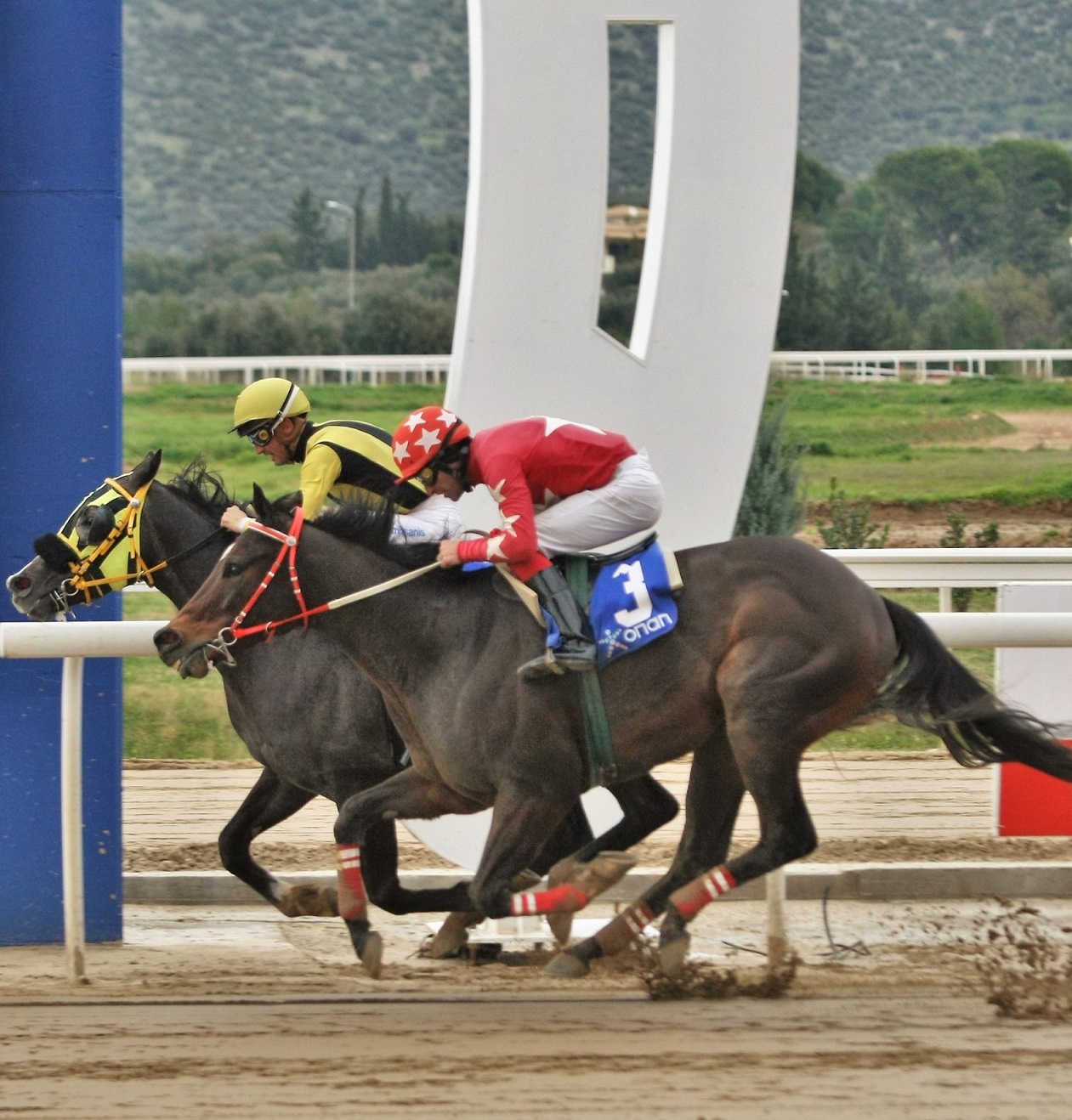Markopoulo Park: Σημαντικά κέρδη για 15 νικητές του ΣΚΟΡ 6 στην πρώτη ιπποδρομιακή συγκέντρωση της χρονιάς