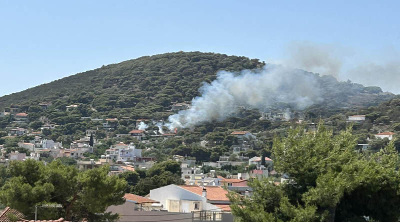 Οριοθετήθηκε άμεσα η φωτιά στην Αρτέμιδα (Βίντεο)