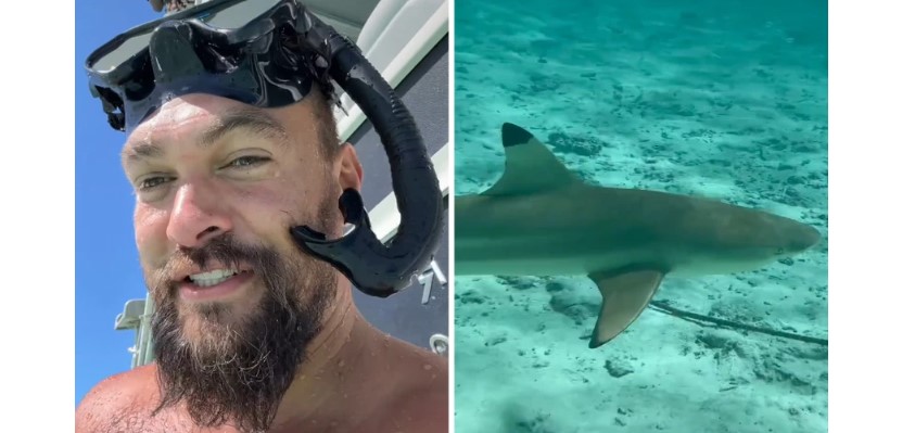 Τζέισον Μομόα