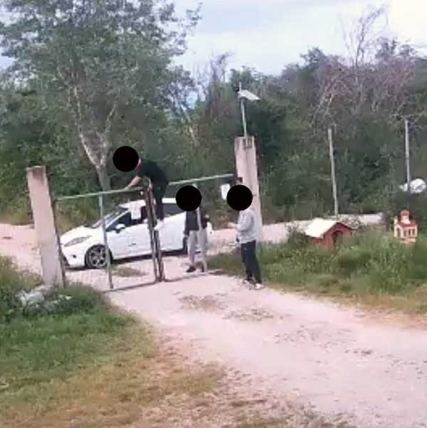 Μυστήριο με εξαφανίσεις ζώων σε περιοχές της Πάτρας και του Νομού Αχαϊας