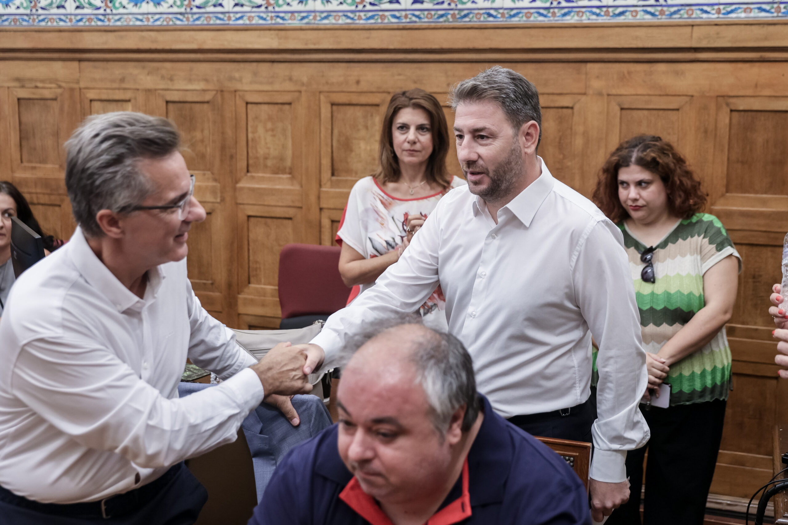 Νίκος Ανδρουλάκης