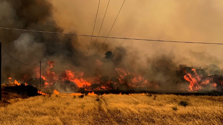 Υπουργείο Αγροτικής Ανάπτυξης