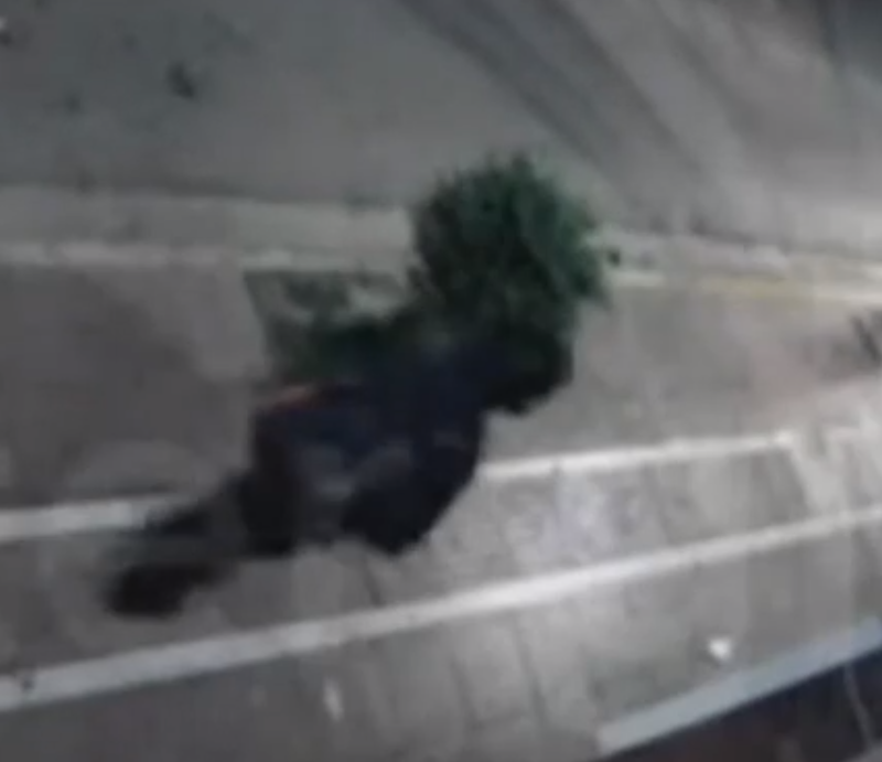 Απίστευτο τροχαίο στους Αγίους Αναργύρους: Αυτοκίνητο παρέσυρε πεζό και τον εκτόξευσε σε τζαμαρία καταστήματος (Βίντεο)