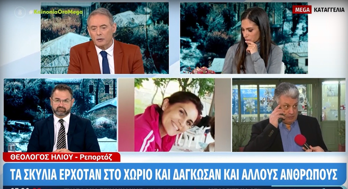 Θεσσαλονίκη: Νέα μαρτυρία για τον τραγικό θάνατο της 50χρονης Ελισάβετ – «Τα σκυλιά είχαν δαγκώσει και άλλον» (Βίντεο)