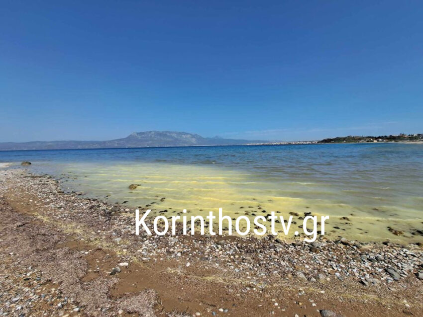Καιρός: Κιτρίνισε η θάλασσα στην Κόρινθο από τη γύρη! (φωτό)