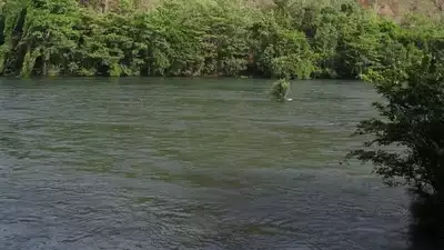 κροκόδειλος