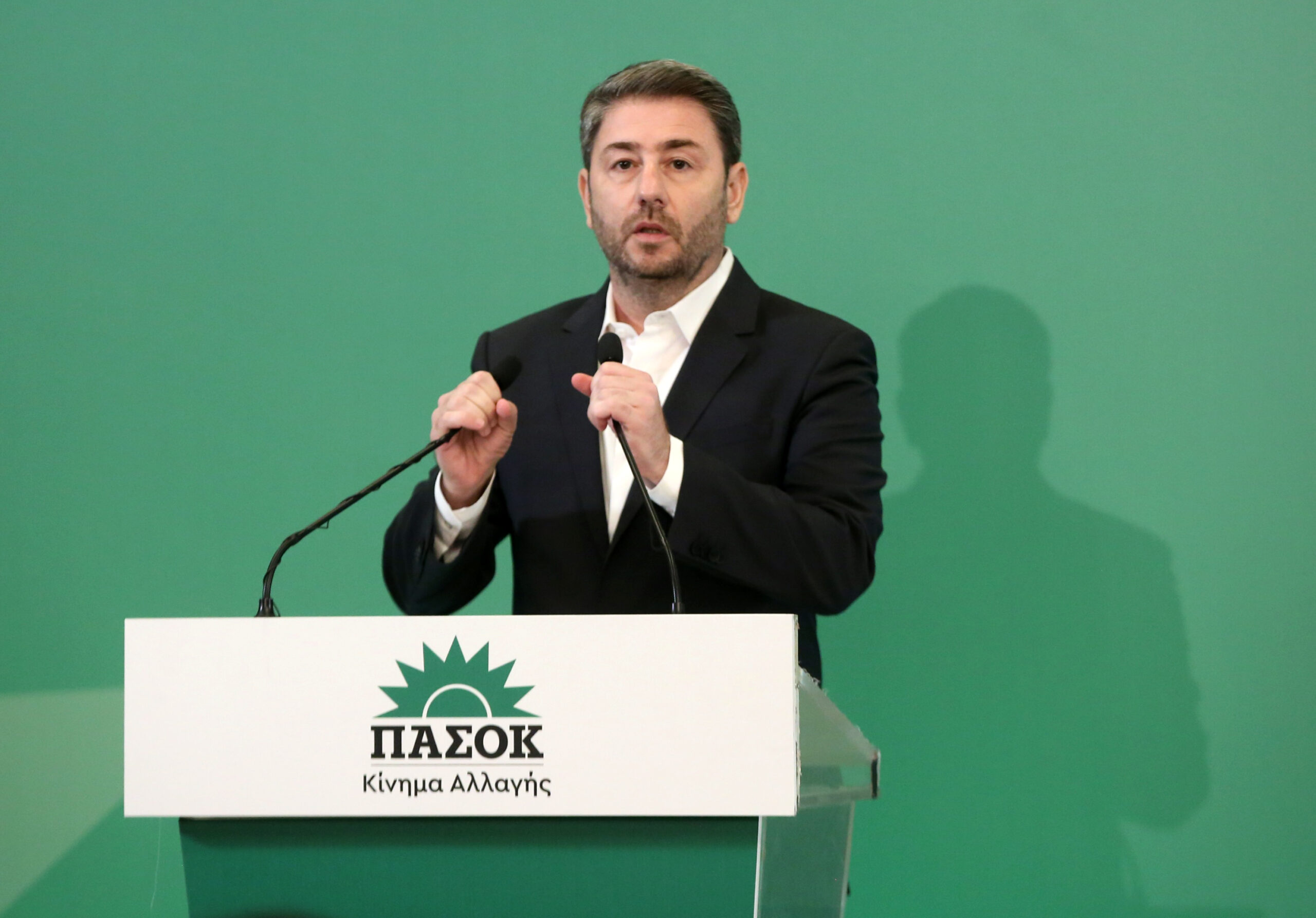 Νίκος Ανδρουλάκης