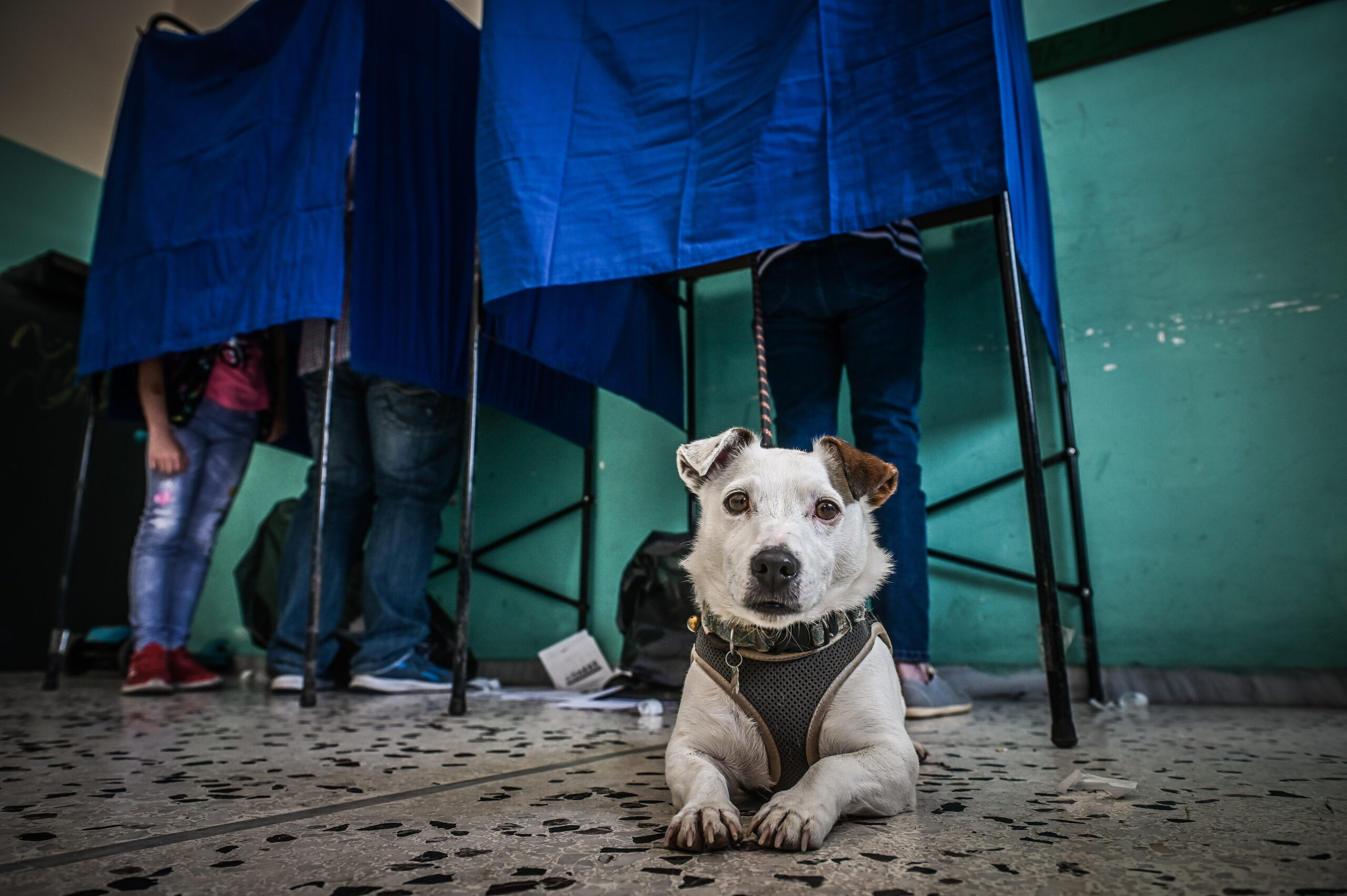 Ευρωεκλογές 2024