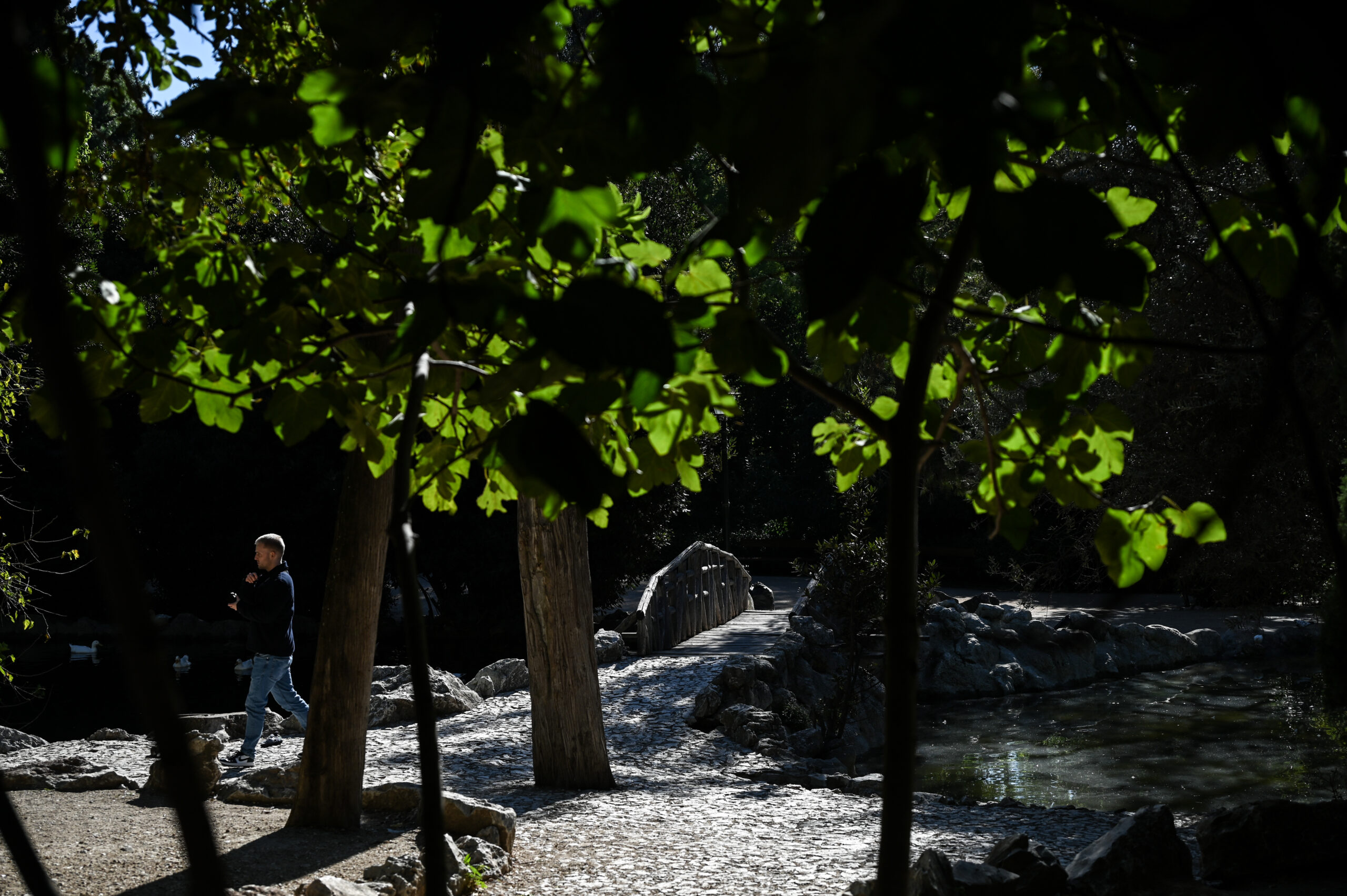 Δήμος Αθηναίων