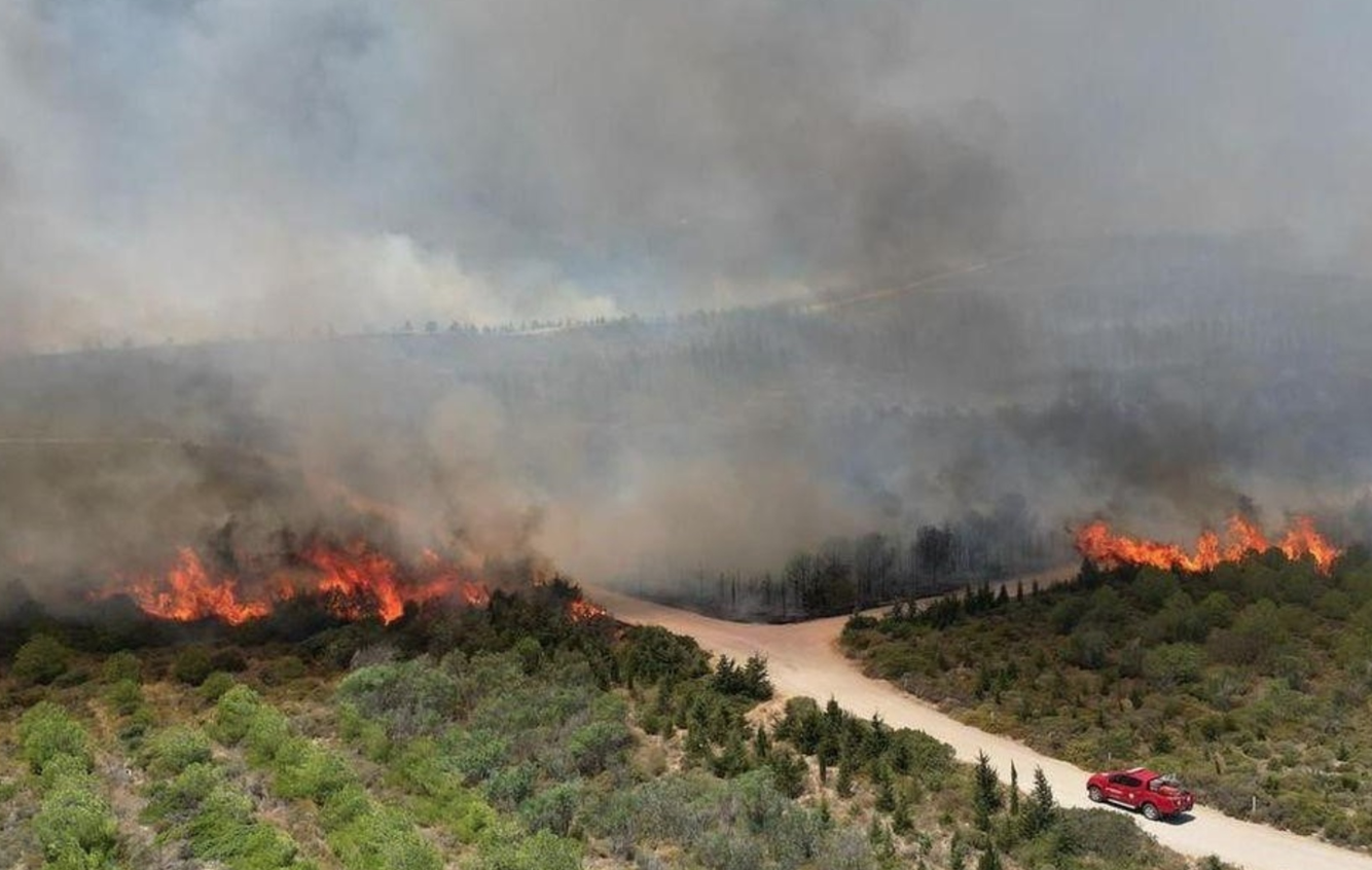 Τουρκία: Τρεις νεκροί από δασική πυρκαγιά στην επαρχία της Σμύρνης