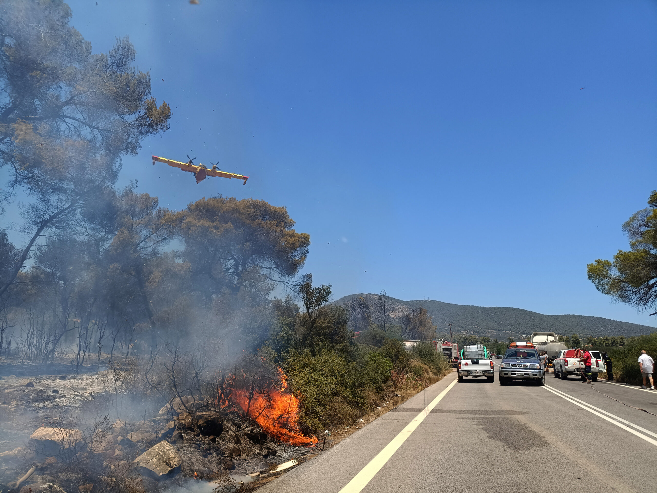 Φωτιά στο Σοφικό Κορινθίας: Βελτιωμένη η εικόνα στο πύρινο μέτωπο – Επιχειρούν 140 πυροσβέστες (Βίντεο)