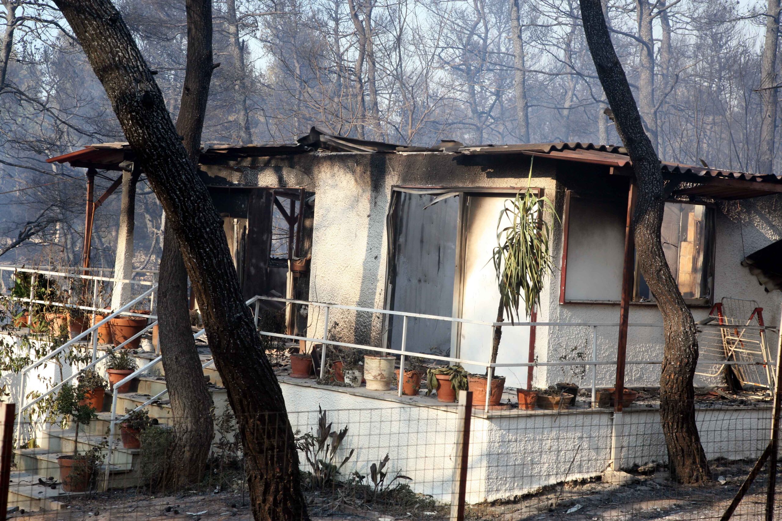 Φωτιά στην Αττική: Τότε ξεκινάει η υποβολή αιτήσεων για την κρατική αρωγή – Η διαδικασία της αίτησης
