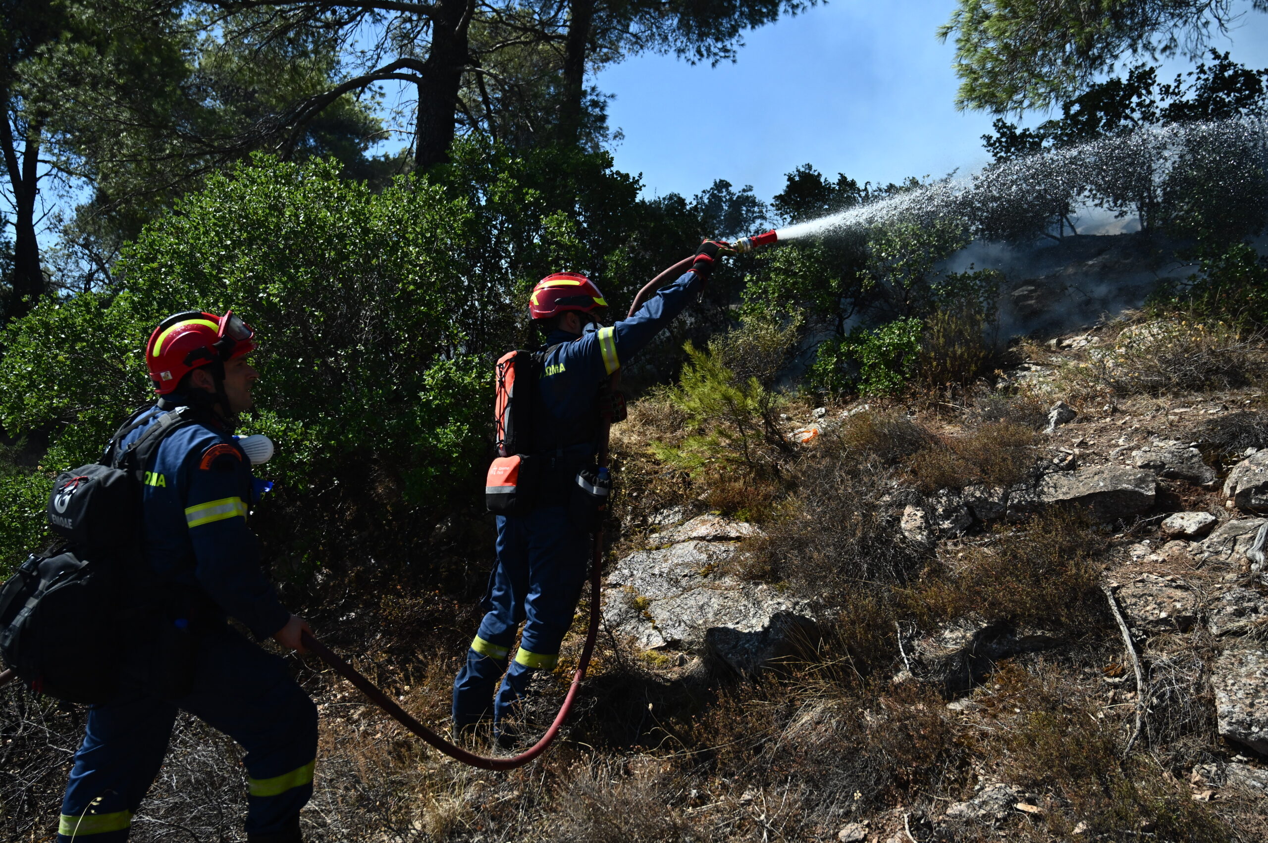 Ναύπακτος: Φωτιά στον Παλαιόπυργο – Επιχειρούν ισχυρές δυνάμεις της Πυροσβεστικής