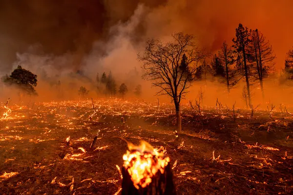 «Mega fires», οι «υπερ-πυρκαγιές» που κινδυνεύει να «βιώσει» και η χώρα μας – Σημαντική επιδείνωση στη βιωσιμότητα του ελληνικού οικοσυστήματος
