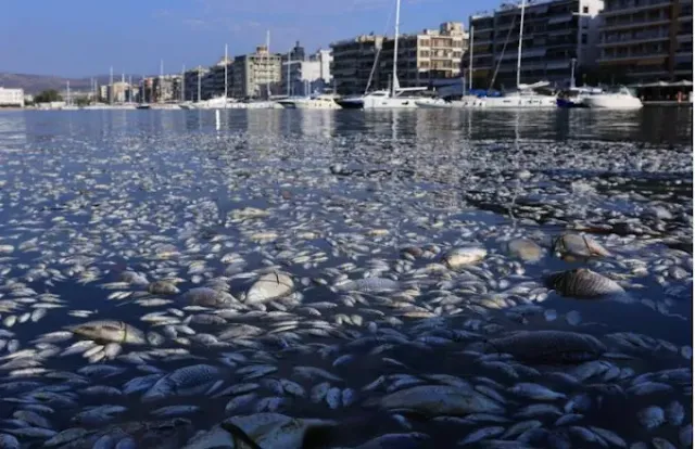 Βόλο