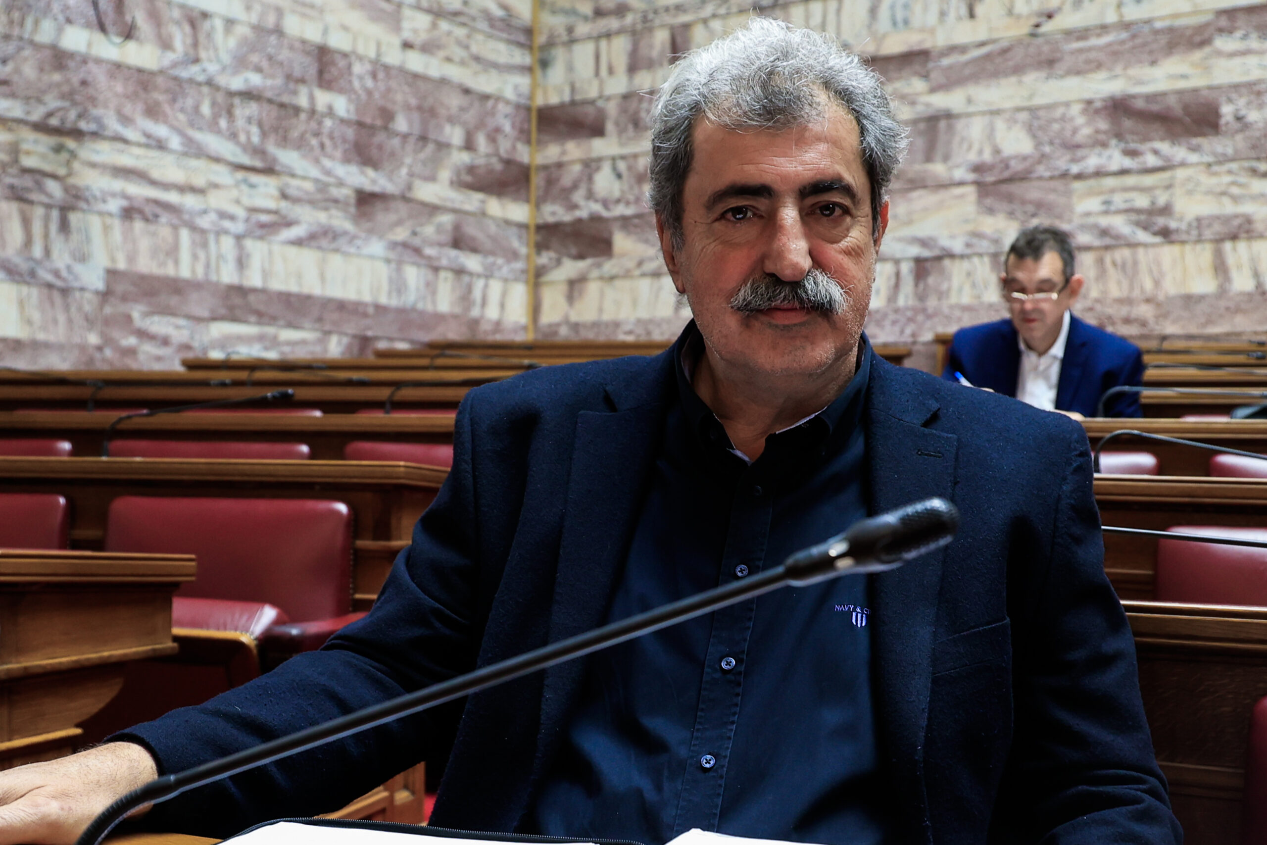 Παύλος Πολάκης