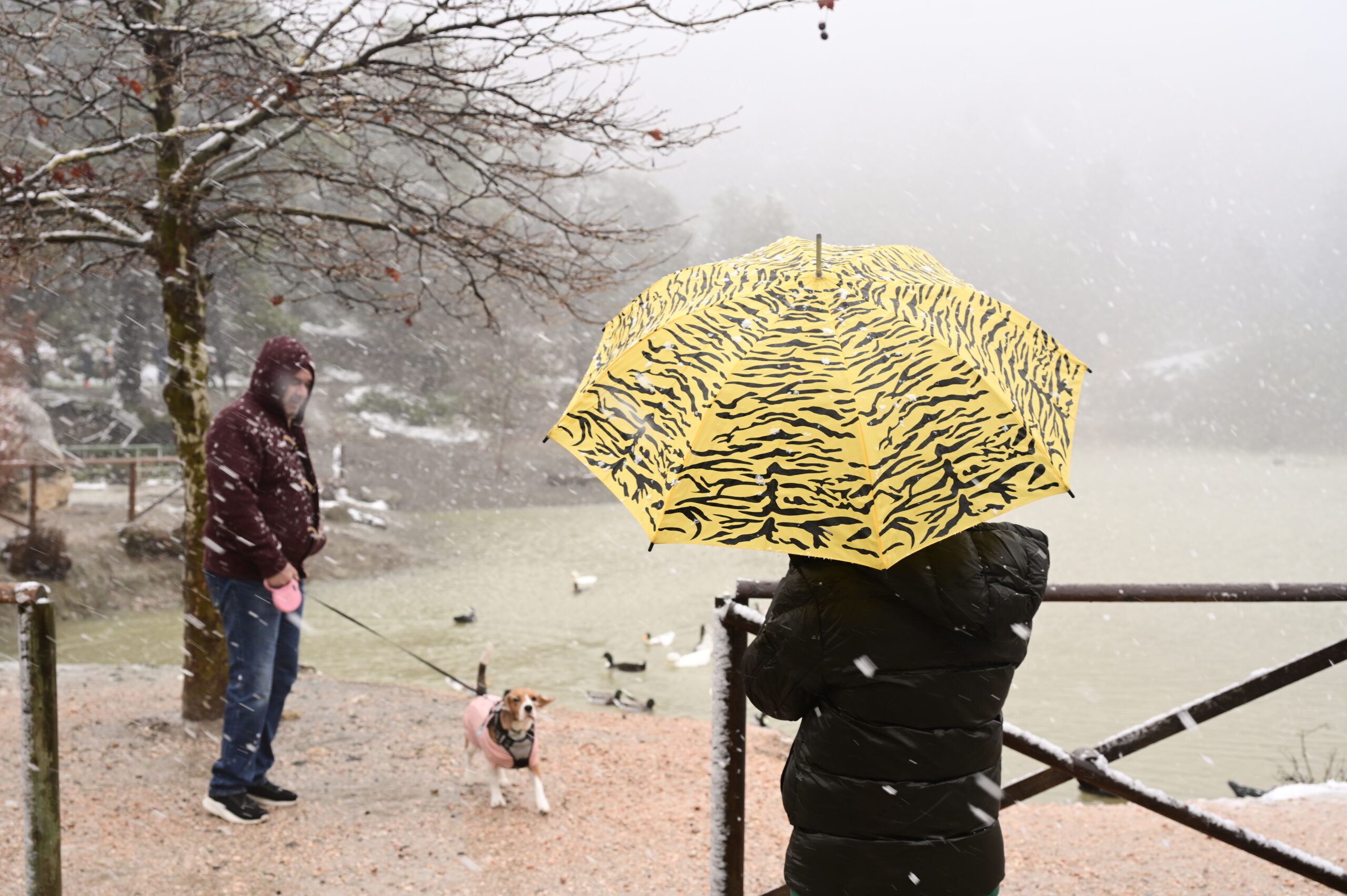 κακοκαιρία