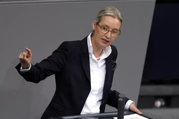 Γερμανία: Η Βάιντελ υποψήφια καγκελάριος του AfD – Θερμές ευχαριστίες στον Μασκ