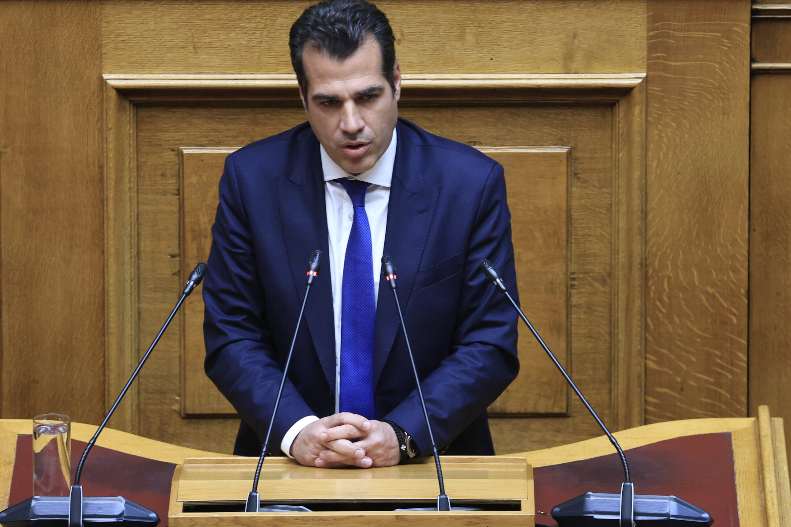 Θάνος Πλεύρης