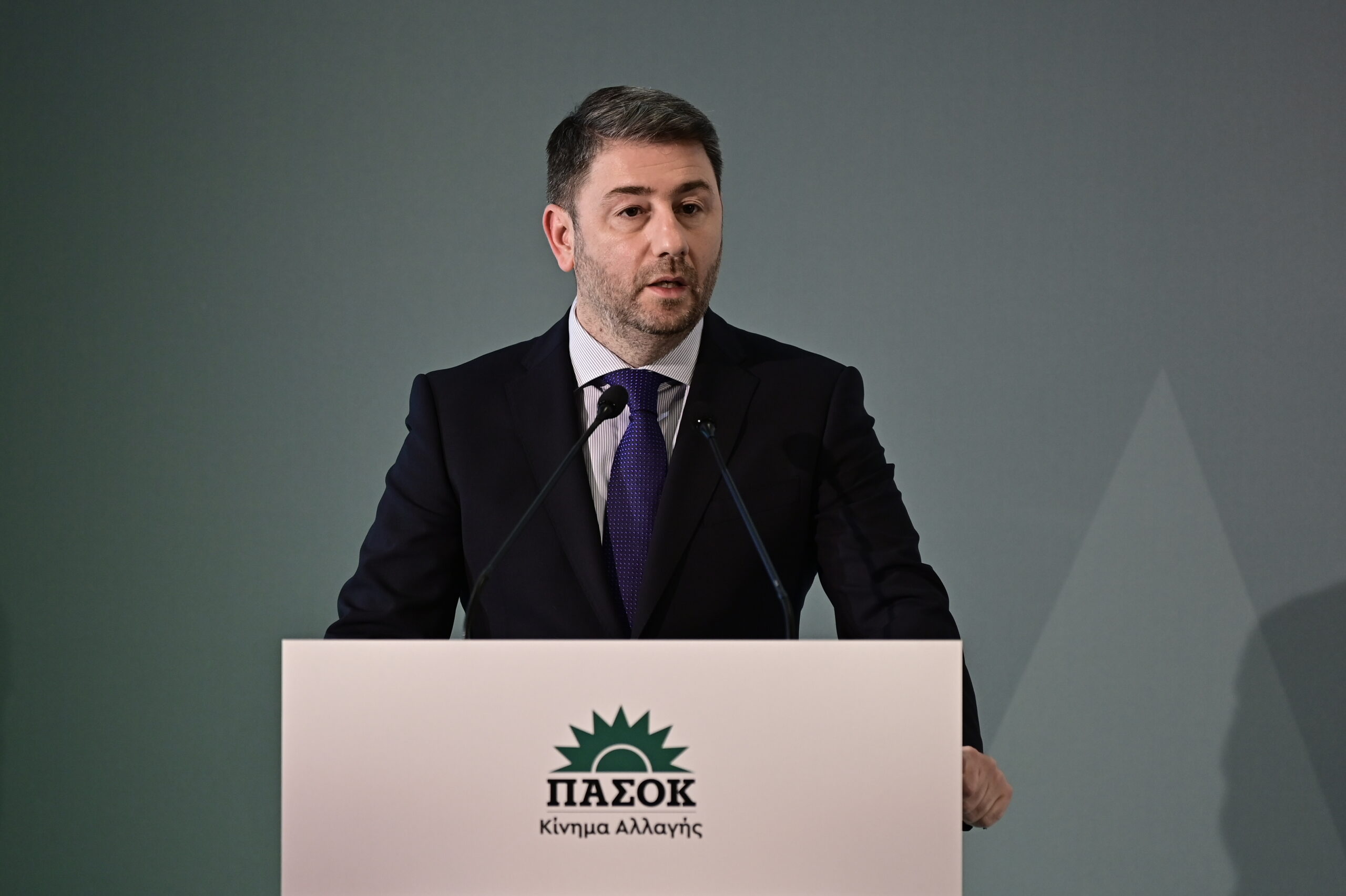 Νίκος Ανδρουλάκης