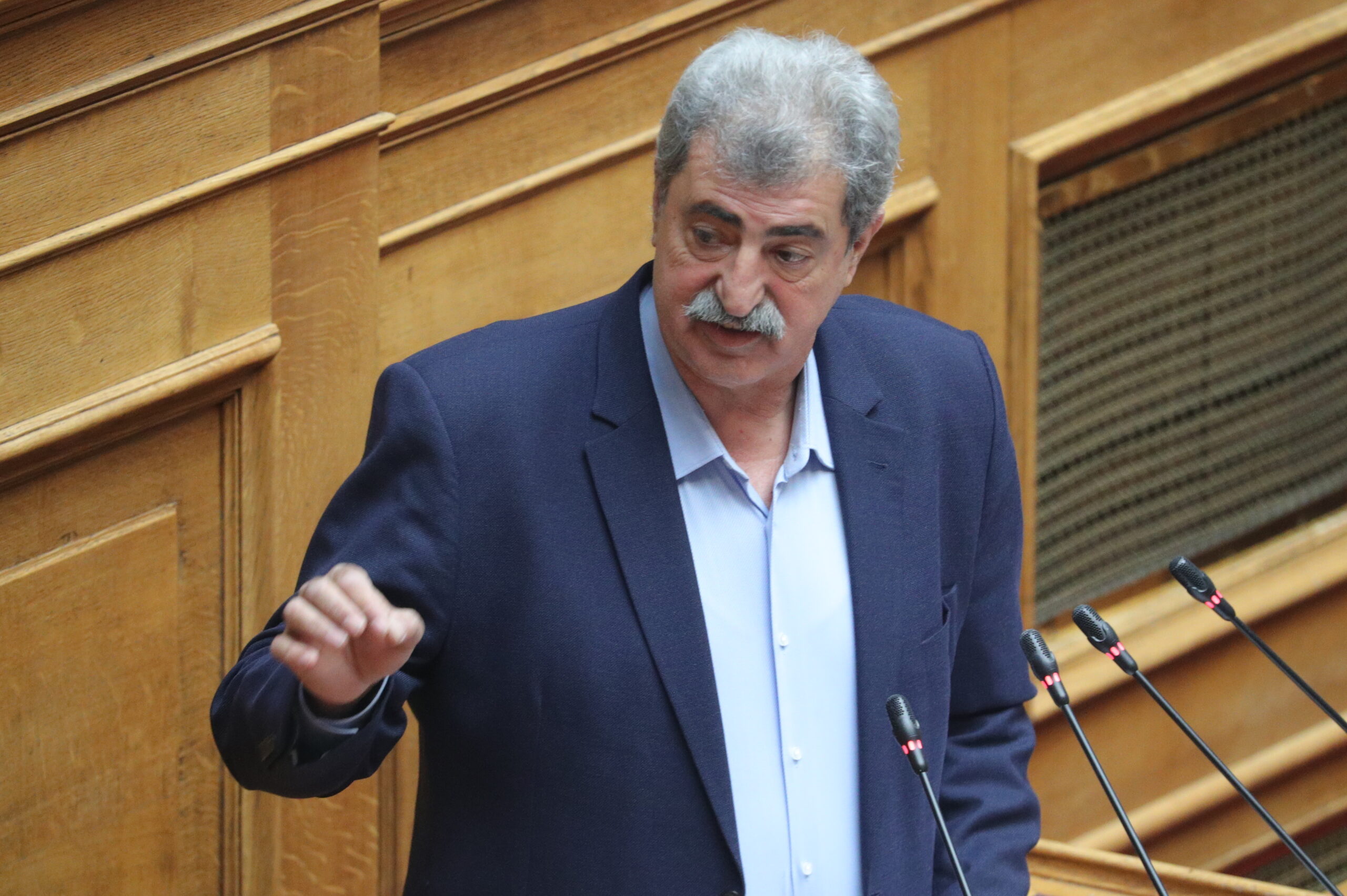 Παύλος Πολάκης