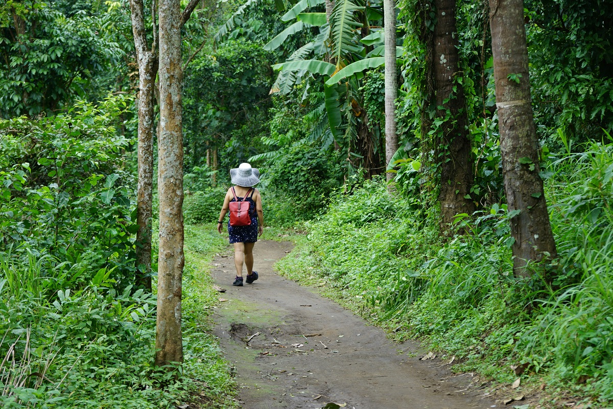 Η καταστροφή των τροπικών δασών έφτασε πέρυσι σε επίπεδο ρεκόρ