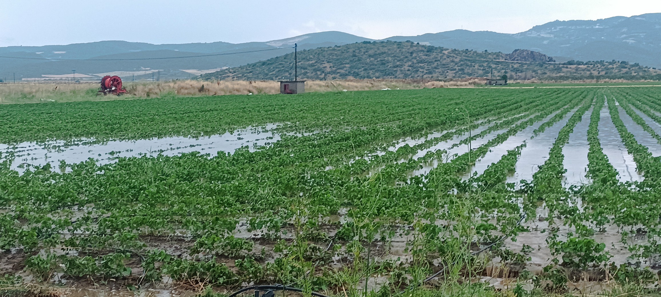 Έντονη κακοκαιρία έπληξε την περιοχή του Δομοκού