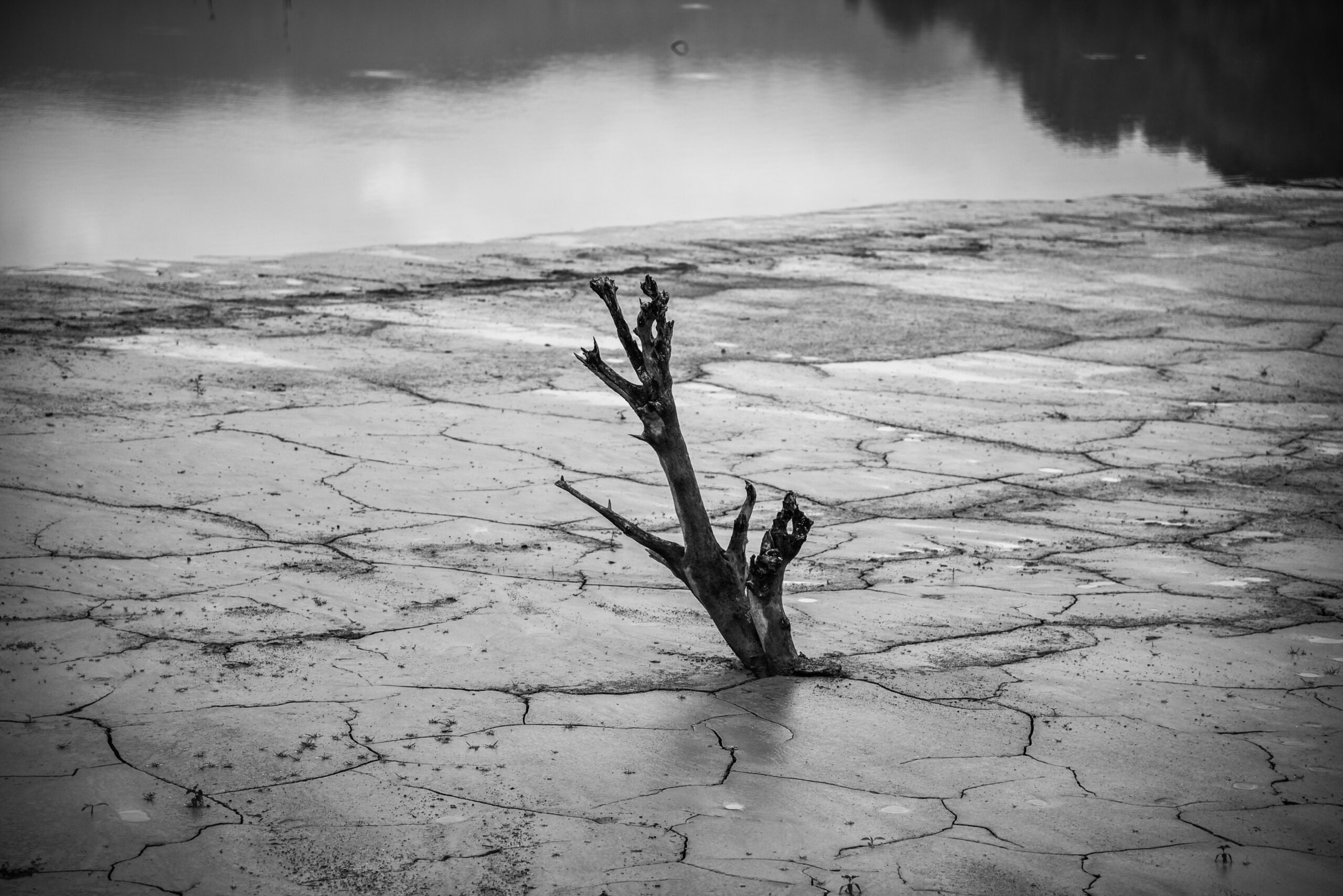 κλιματική κρίση ξηρασία