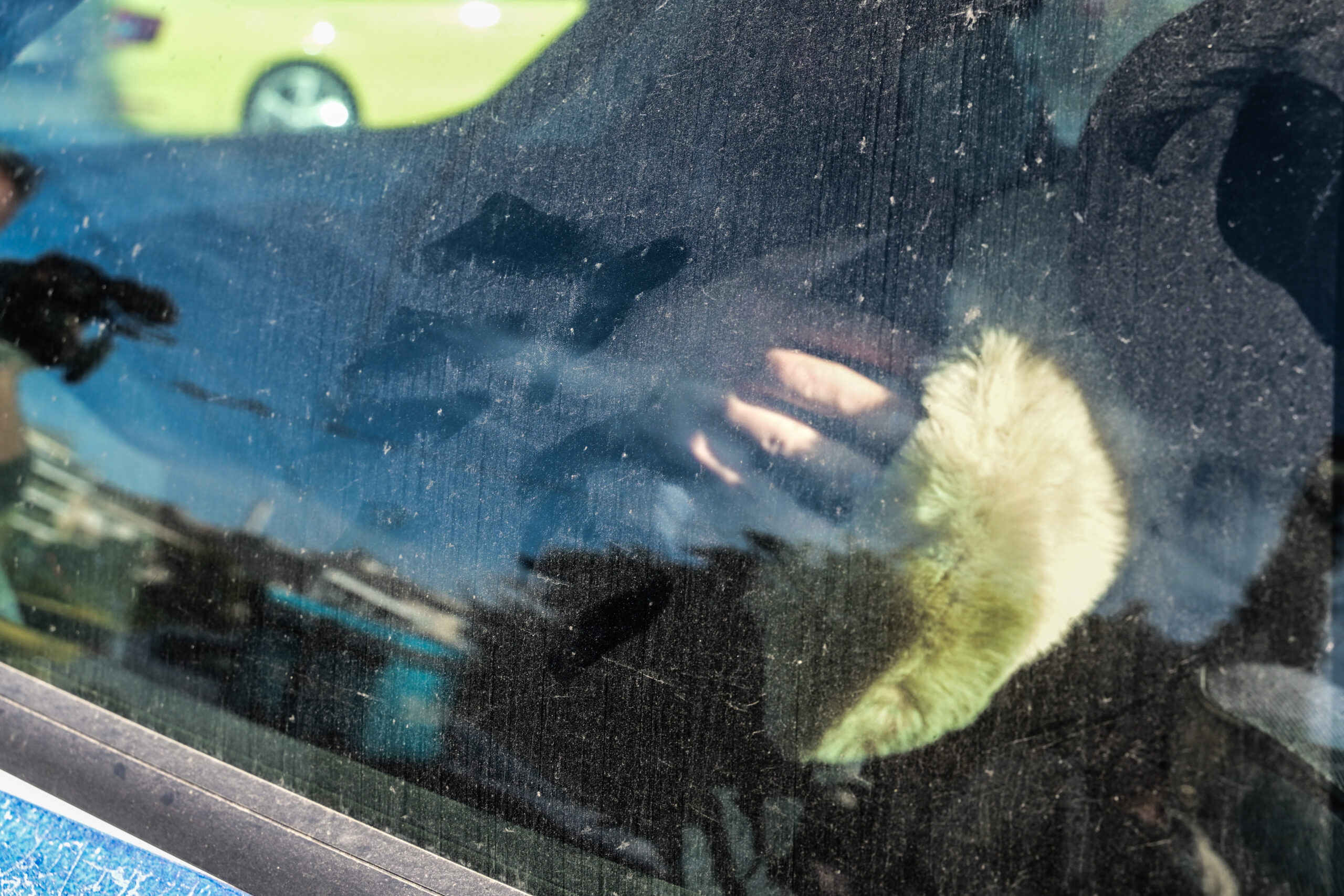 Ειρήνη Μουρτζούκου