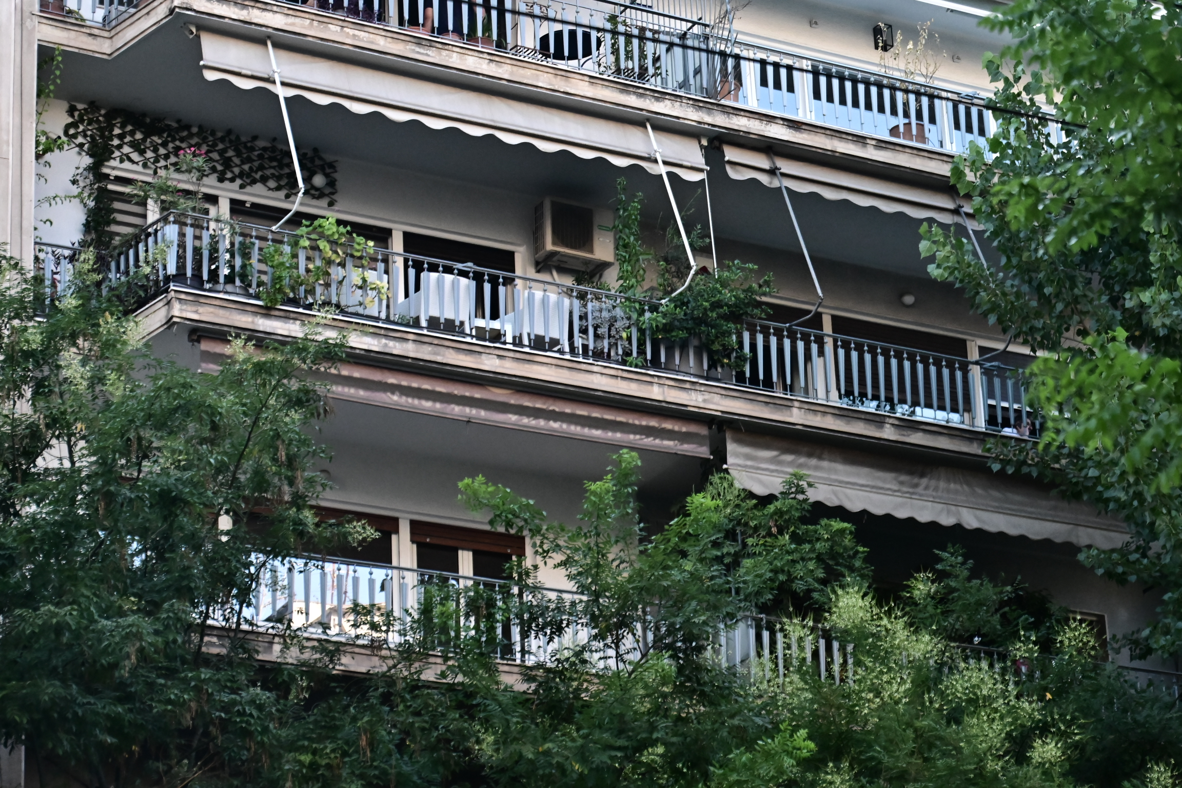 Πέτρος Φιλιππίδης