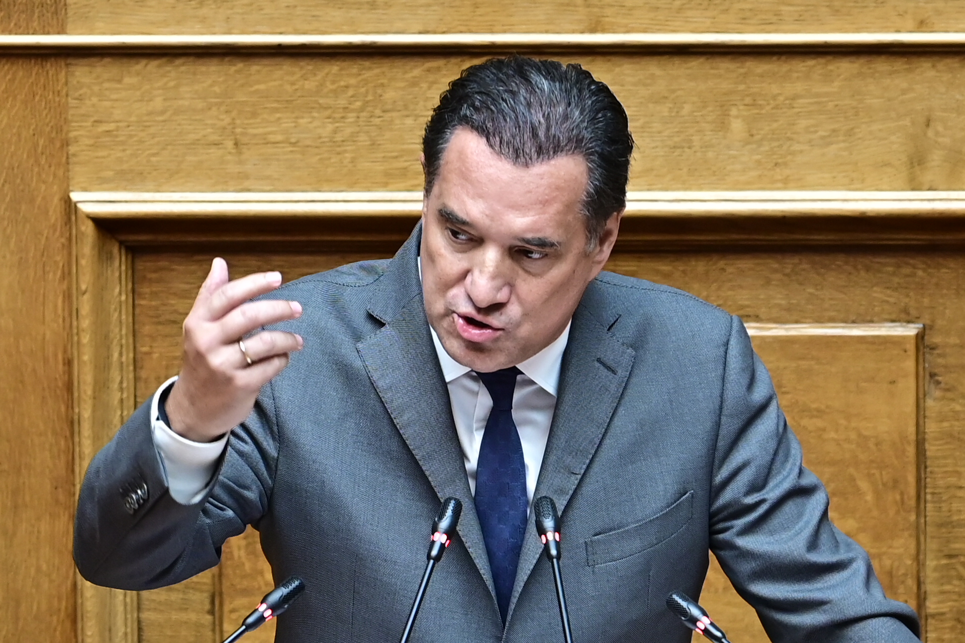 Άδωνις Γεωργιάδης